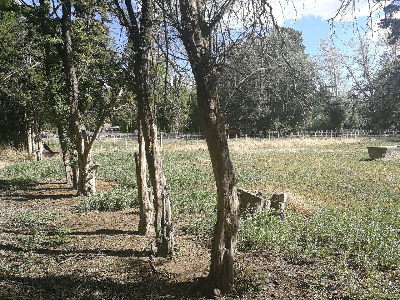 73300 HECTARS / 183200 ACRES : A PIECE OF HEAVEN  SOLD 