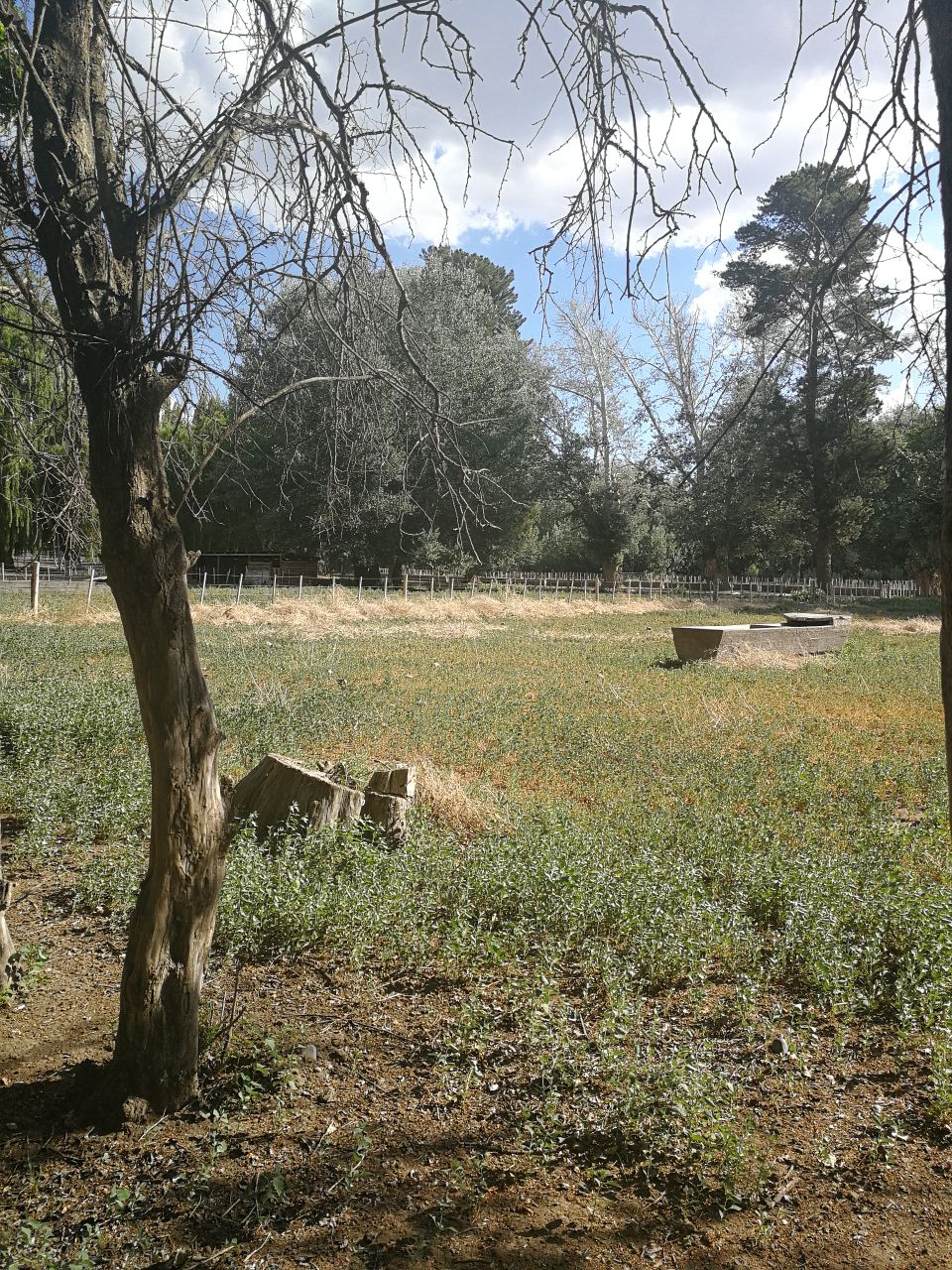 73300 HECTARS / 183200 ACRES : A PIECE OF HEAVEN  SOLD 