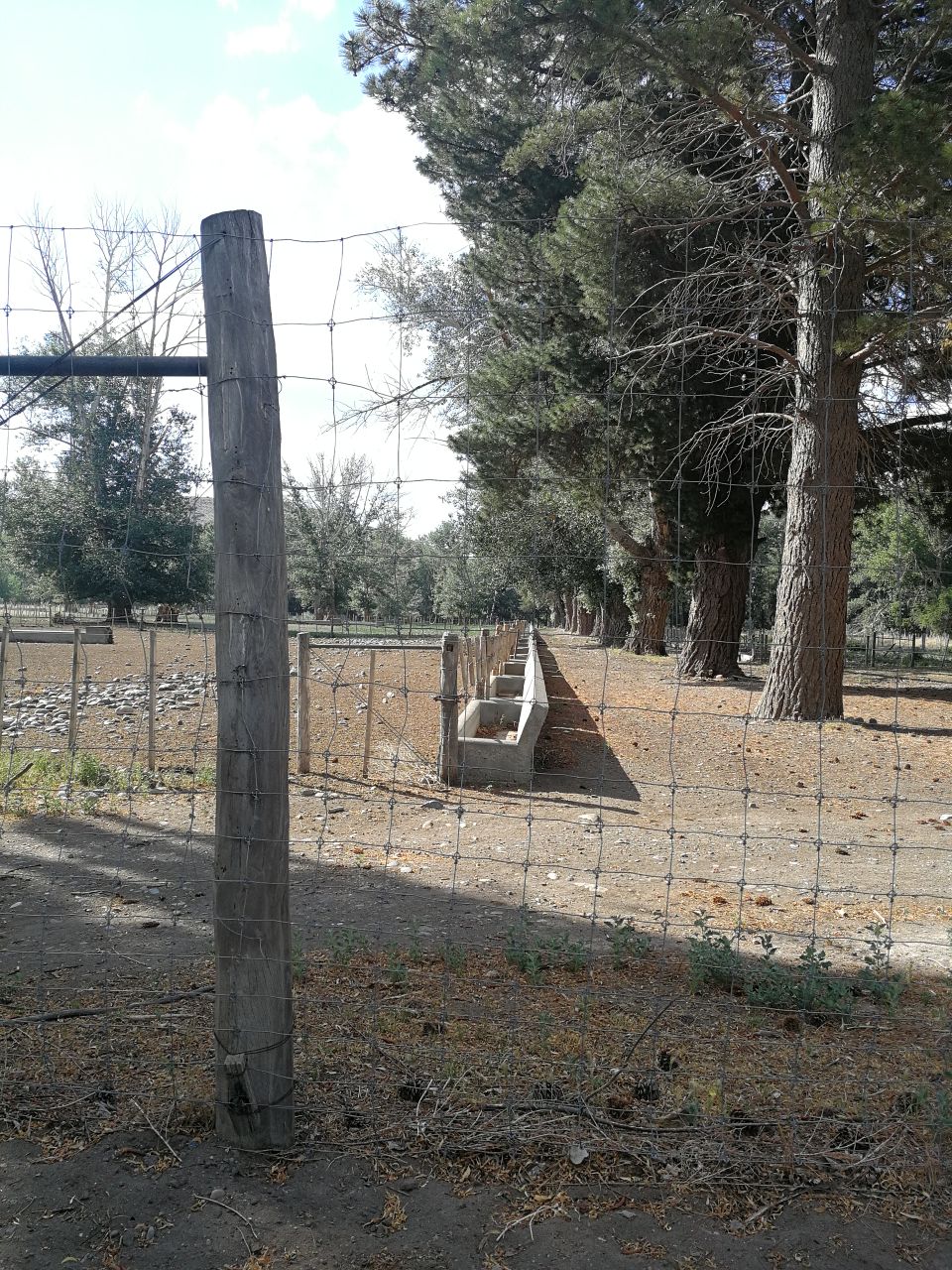 73300 HECTARS / 183200 ACRES : A PIECE OF HEAVEN  SOLD 