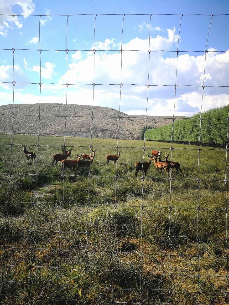 73300 HECTARS / 183200 ACRES : A PIECE OF HEAVEN  SOLD 